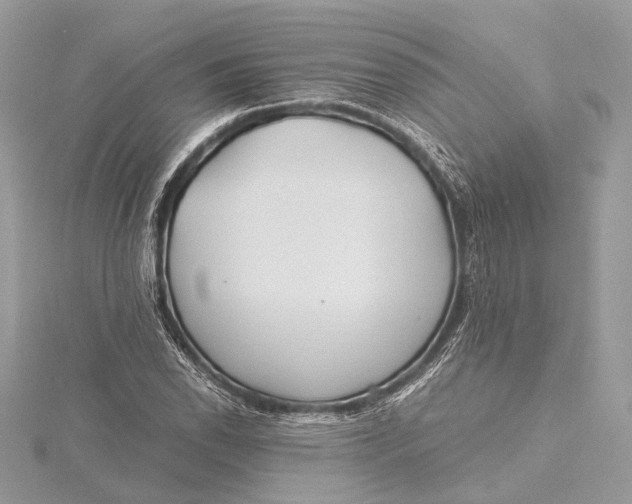 X0000115641118200912011455