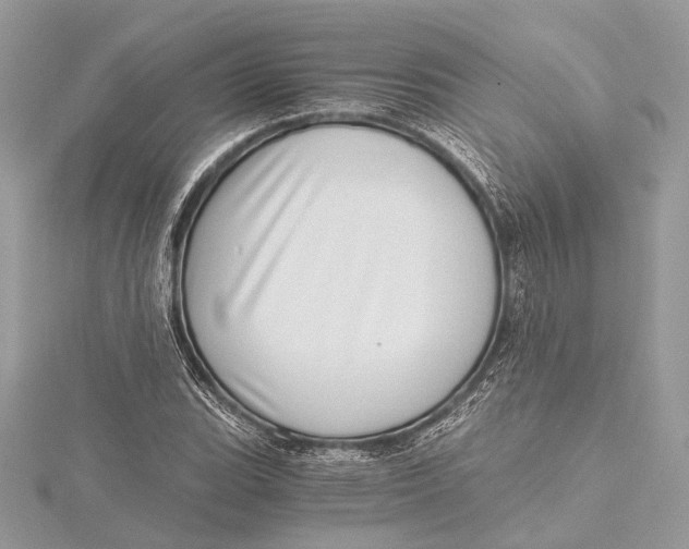 X0000115641119200912011455