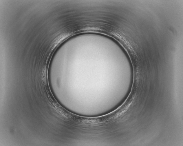X0000115641121200912011455