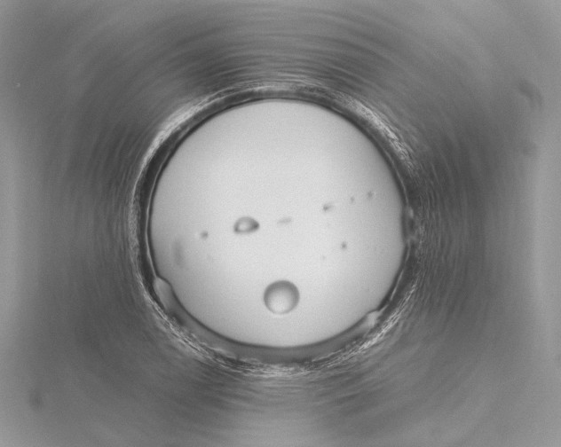 X0000115641122200912011455