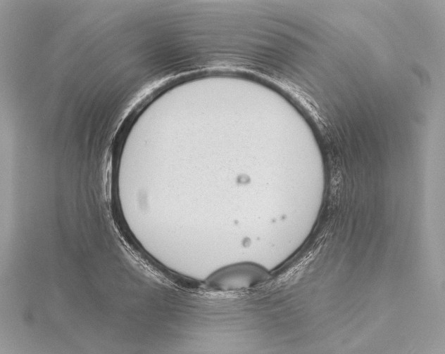 X0000115641126200912011455