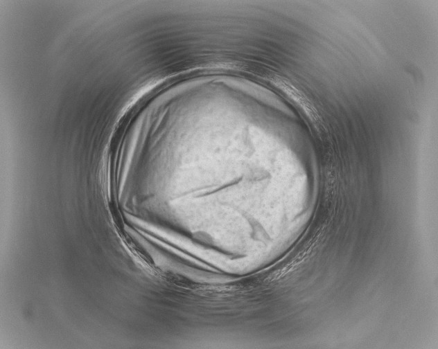 X0000115641127200912011455