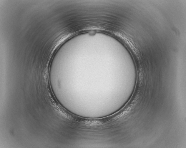 X0000115641129200912011455