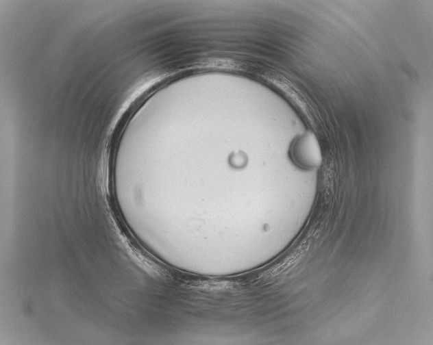 X0000115641131200912011455