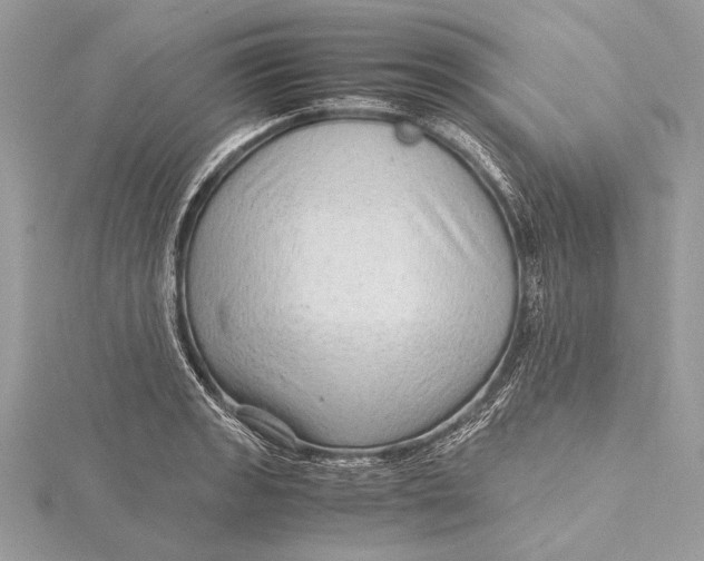 X0000115641133200912011456