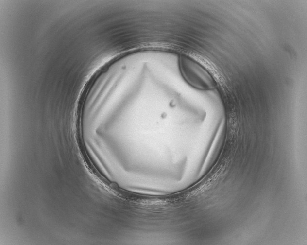 X0000115641135200912011456