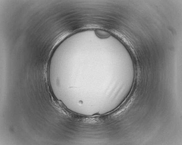 X0000115641137200912011456