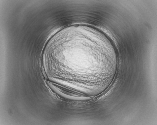 X0000115641145200912011456