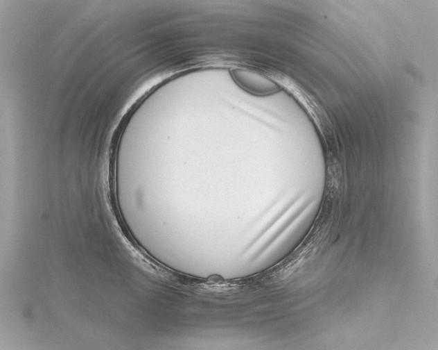 X0000115641147200912011456