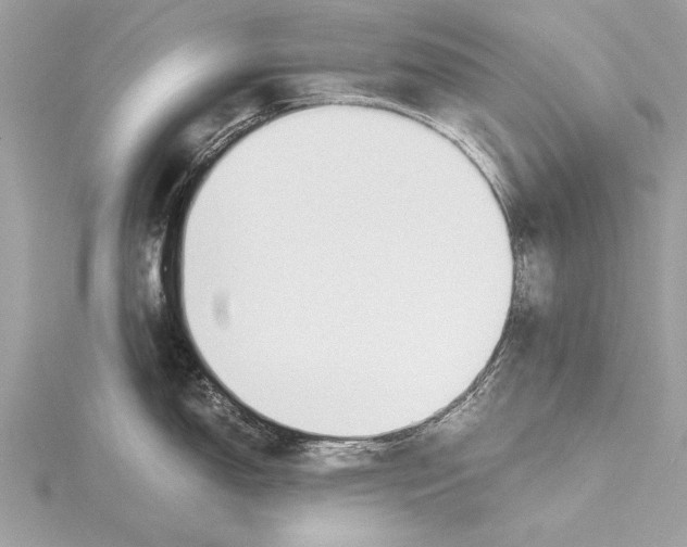 X0000115641150200912011456