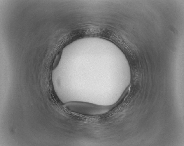 X0000115641153200912011455