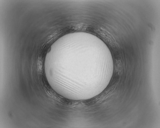 X0000115641154200912011455