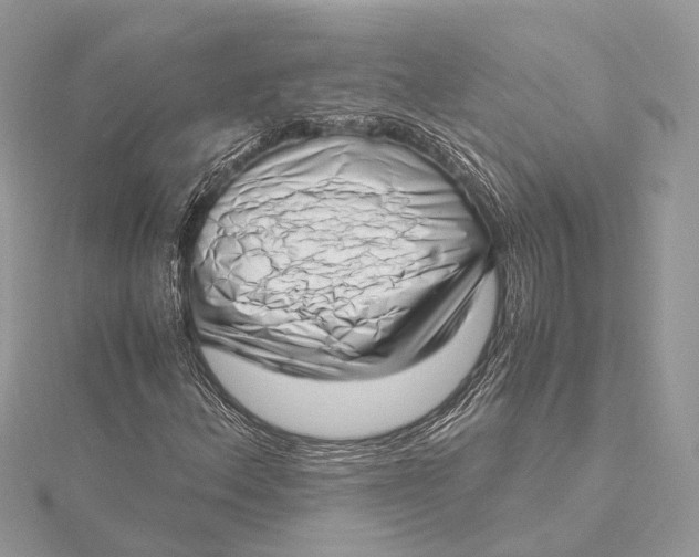 X0000115641156200912011455