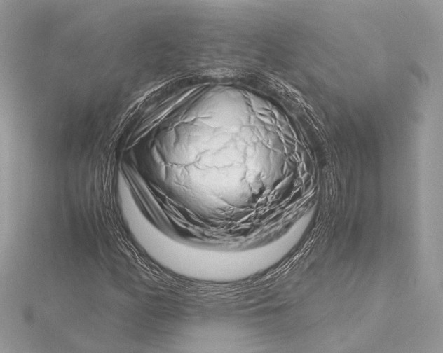 X0000115641158200912011455