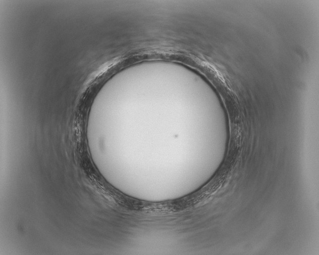 X0000115641159200912011455