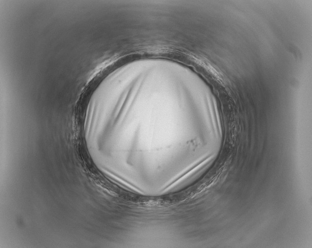 X0000115641160200912011455