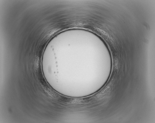 X0000115641161200912011455