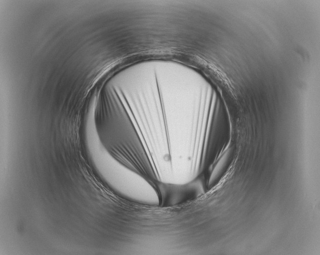 X0000115641162200912011455