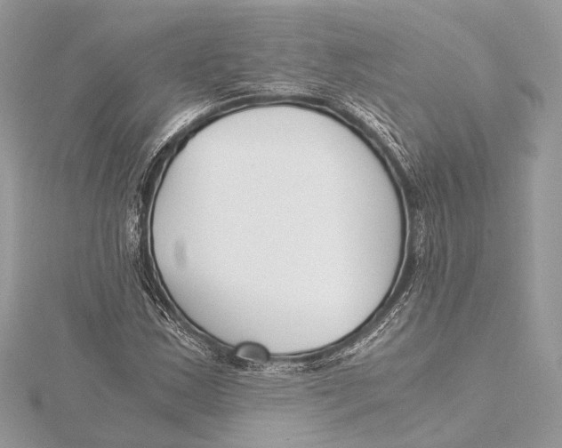 X0000115641163200912011455