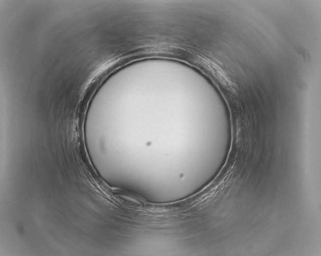 X0000115641164200912011455