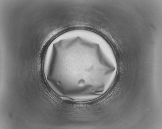 X0000115641167200912011455
