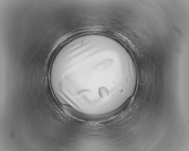 X0000115641168200912011455