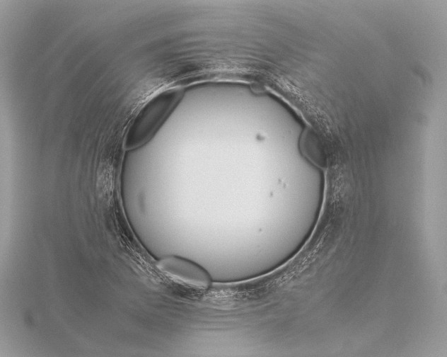 X0000115641169200912011455