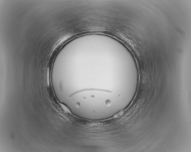 X0000115641171200912011455