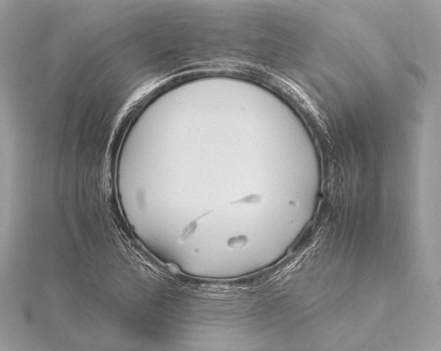 X0000115641172200912011455