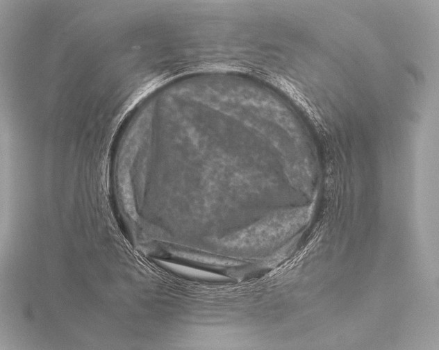 X0000115641173200912011455