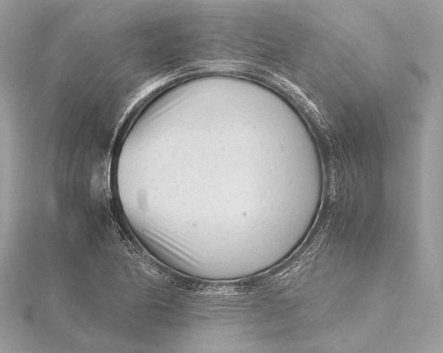 X0000115641174200912011455