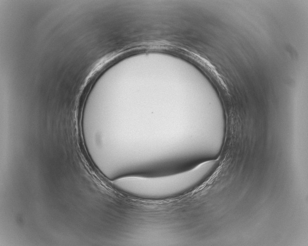 X0000115641176200912011455