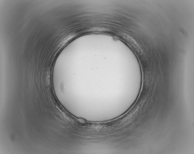X0000115641177200912011455