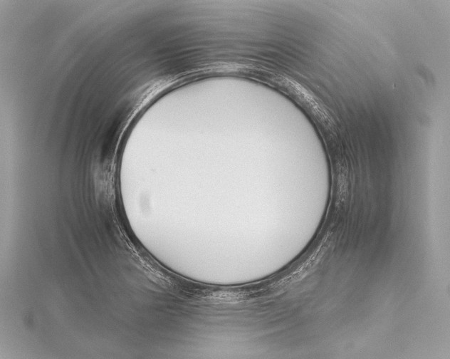 X0000115641178200912011455