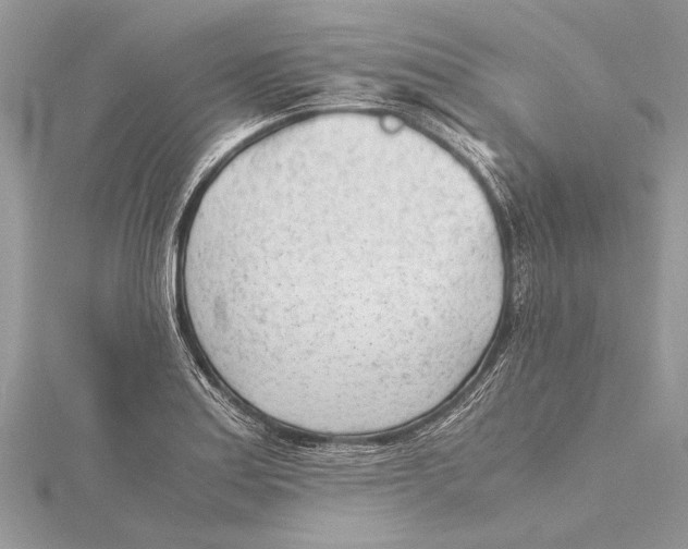 X0000115641179200912011455