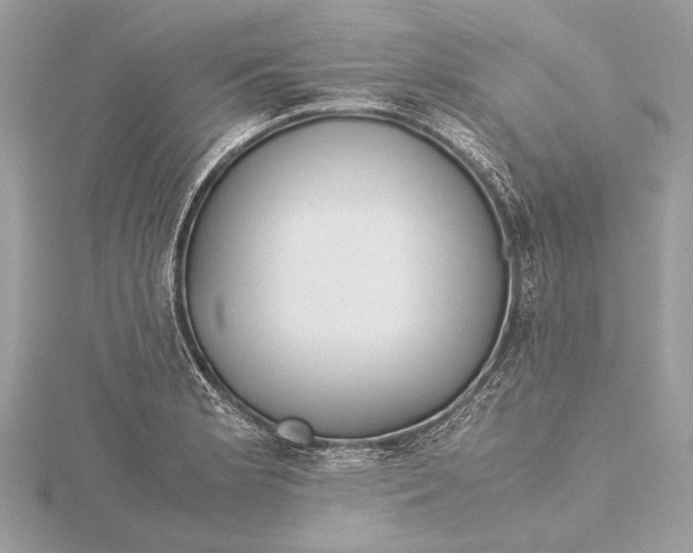 X0000115641181200912011455