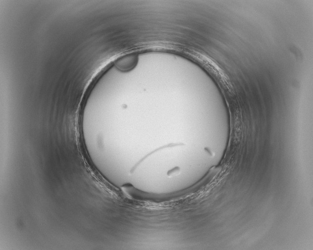 X0000115641182200912011455