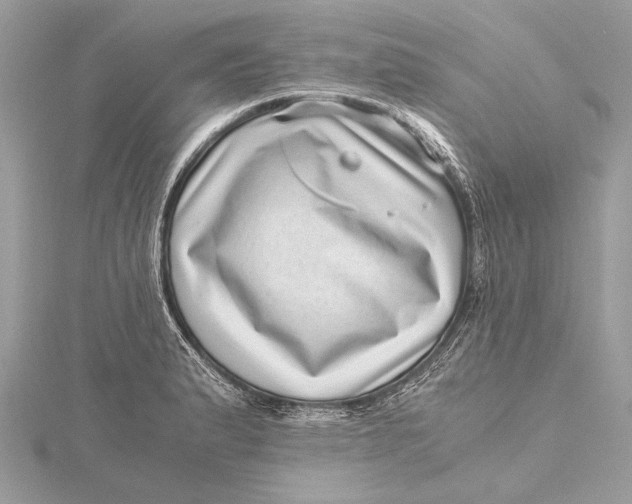X0000115641183200912011455