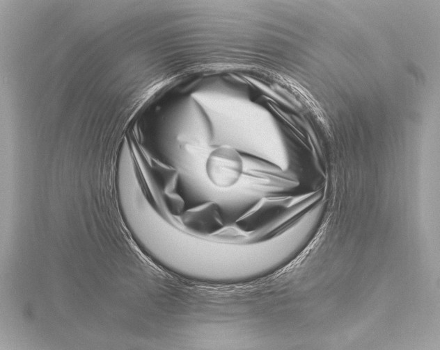 X0000115641185200912011455