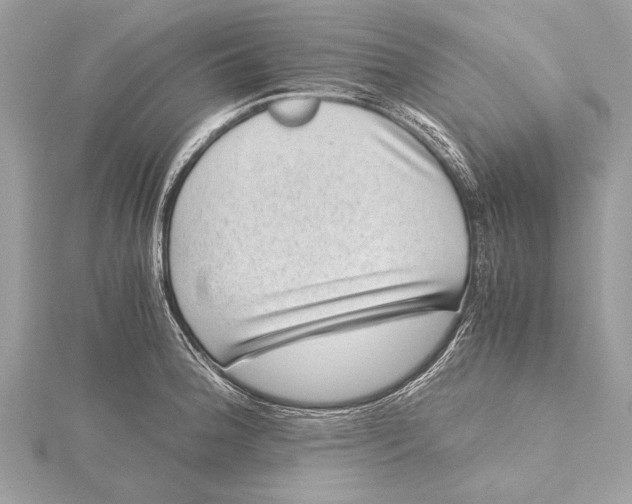 X0000115641188200912011455