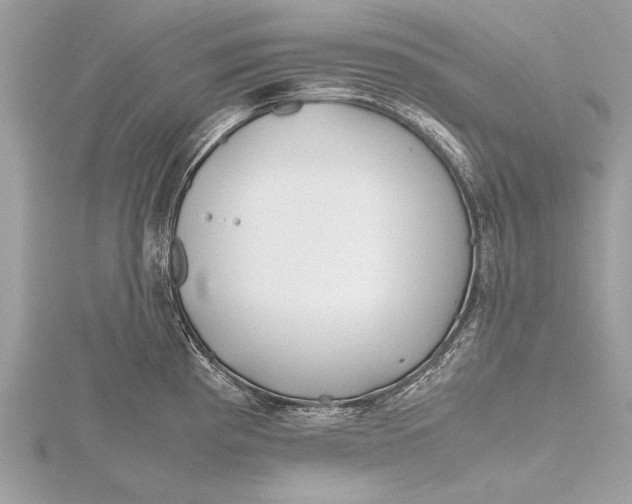 X0000115641193200912011455