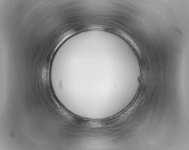 X0000115641194200912011455