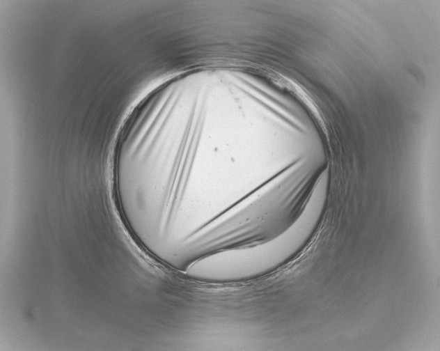 X0000115641195200912011455