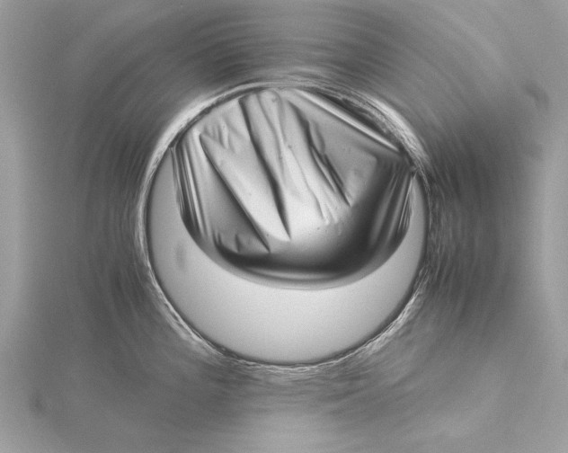 X0000115641196200912011455