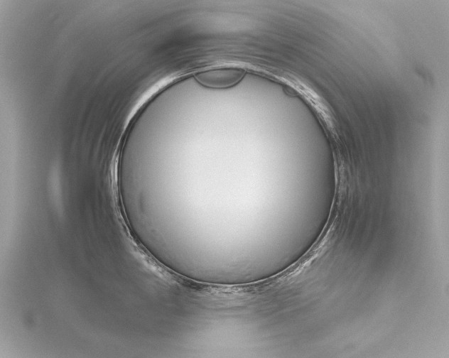 X0000115641198200912011455