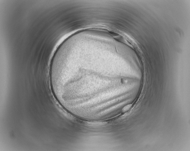 X0000115641200200912011455