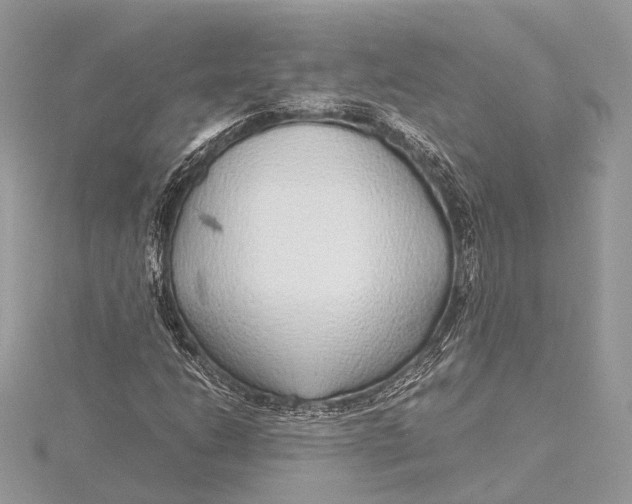 X0000115641206200912011454