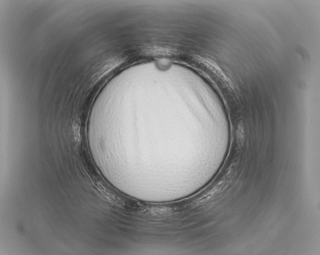 X0000115641209200912011454