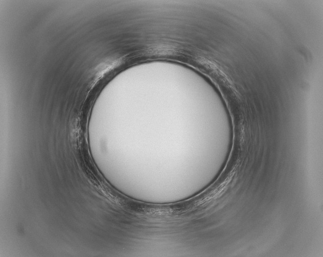 X0000115641210200912011454