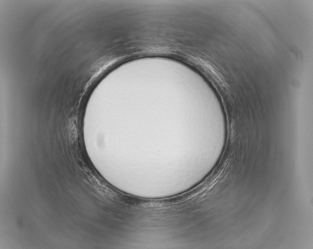 X0000115641212200912011454